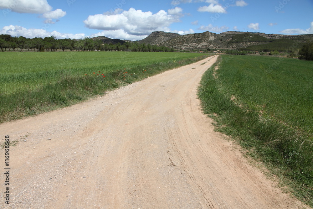 Spring landscape, Rubielos de Mora, Gudar mountains, Teruel, Spa