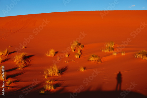 Sand dunes in the Sahara Desert  Merzouga  Morocco