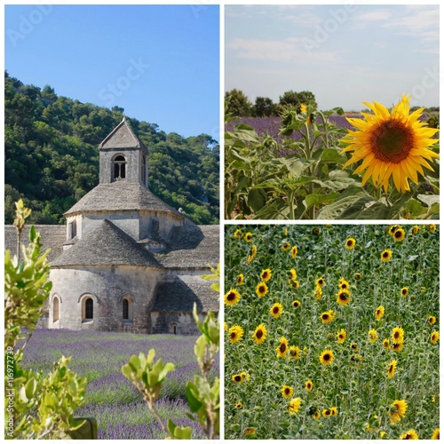 Collage Alta Provenza - Distese di Lavanda photo