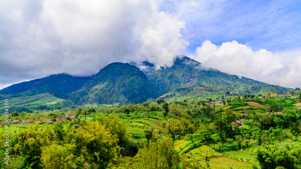 Obraz premium Mount Merapi active volcano surrounded by farmland.