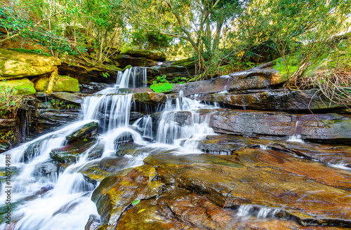 Cascading waterfall in a rainforest