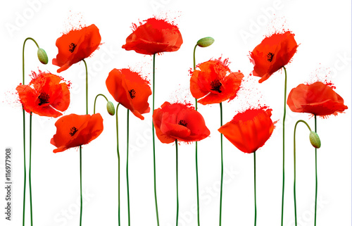 Abstract background with red poppies flowers. Vector.