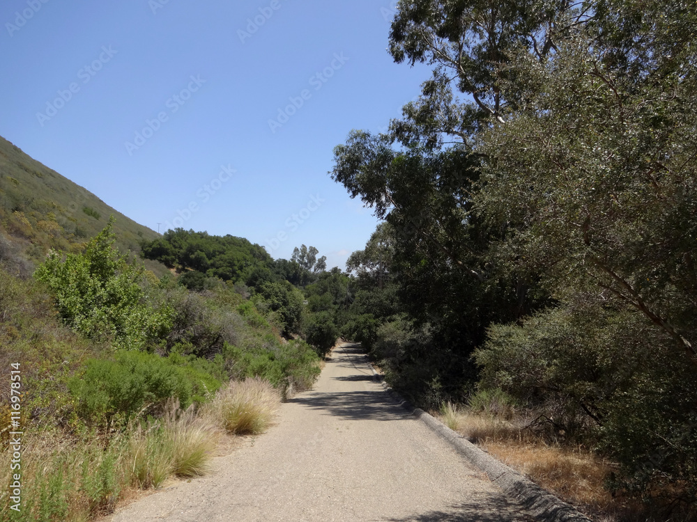 Paved Gravel Road way surrounded by trees