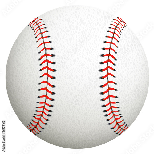 Baseball isolated on white. Vector illustration.