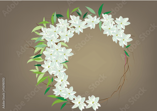 Crown jasmine flowers with leaves  top view  and side view .vector illustration