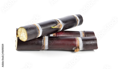 Sugar cane isolated on white background