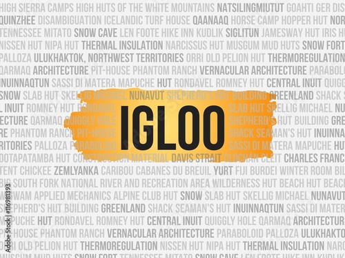 igloo photo