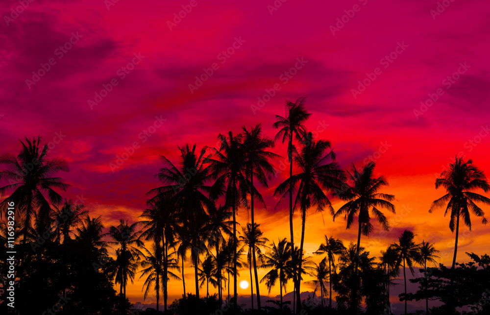 Silhouette coconut palm trees on beach at sunset. Made from vintage filter effect, Vintage tone.