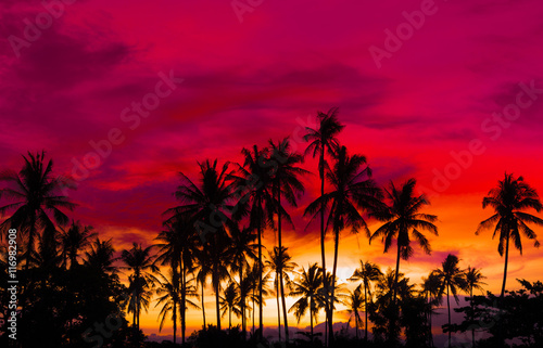 Silhouette coconut palm trees on beach at sunset. Made from vintage filter effect, Vintage tone.