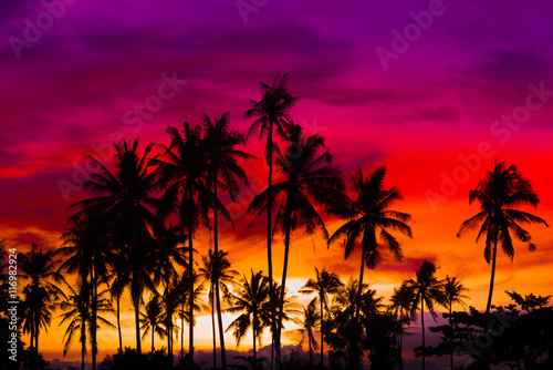 Silhouette coconut palm trees on beach at sunset. Made from vintage filter effect, Vintage tone. © sakarin14