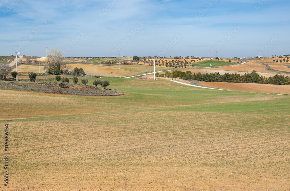 Agricultural mosaic landscape in Toledo Province, Spain