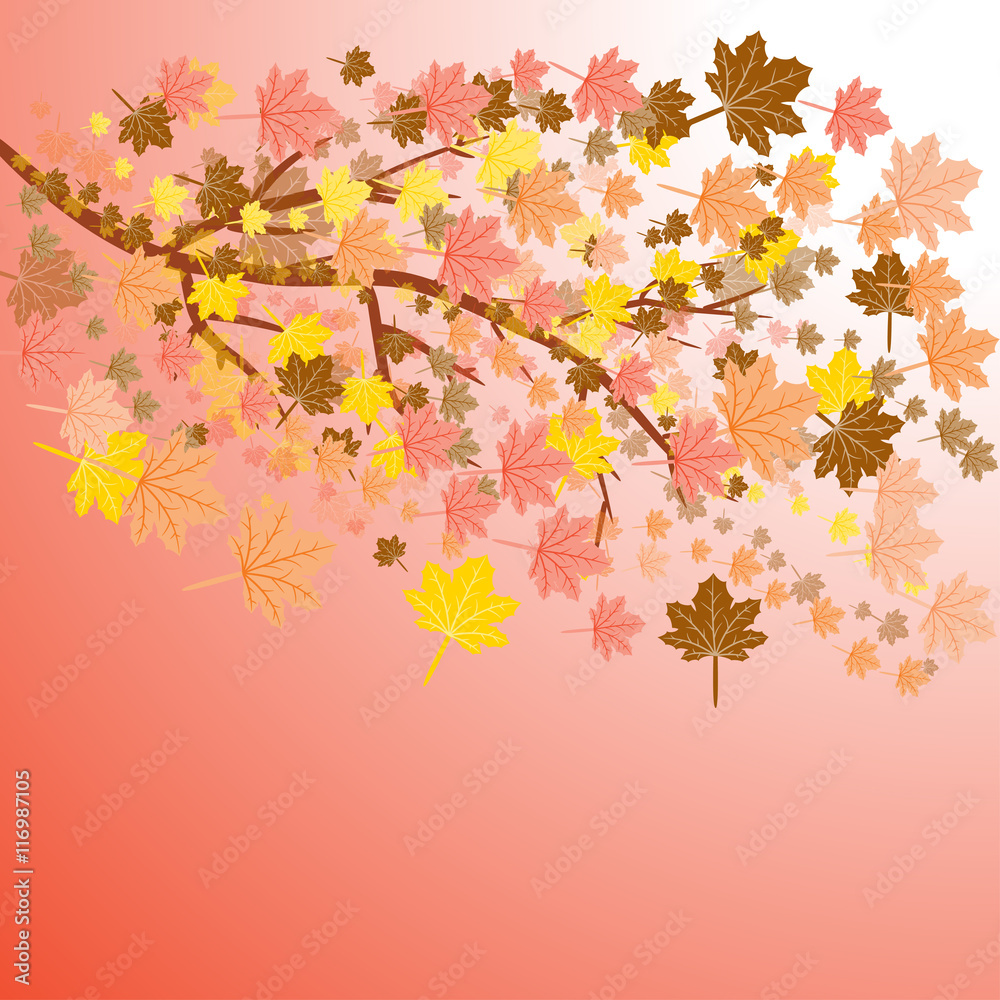 Flying autumn leaves with copy space. Vector autumn background.