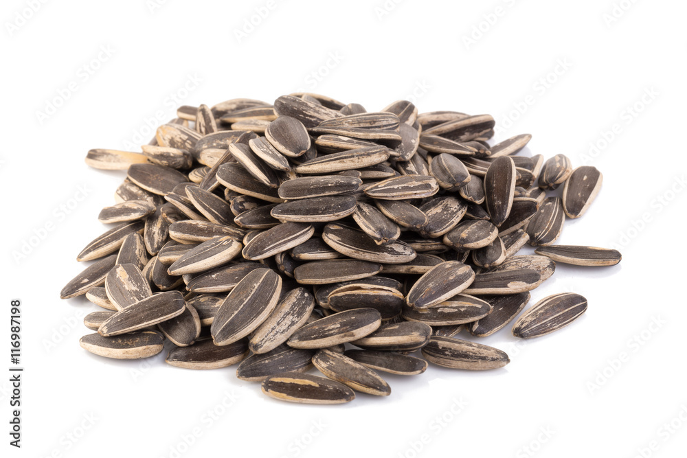 sun flower seed on white background sun flower seed on white background
