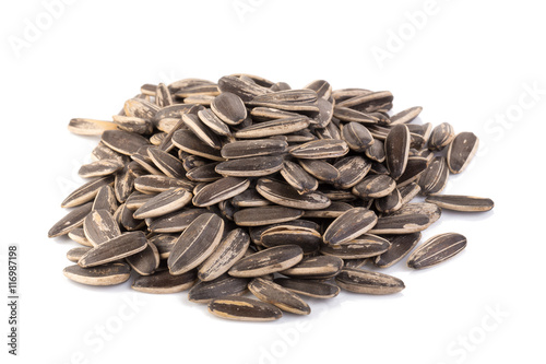 sun flower seed on white background