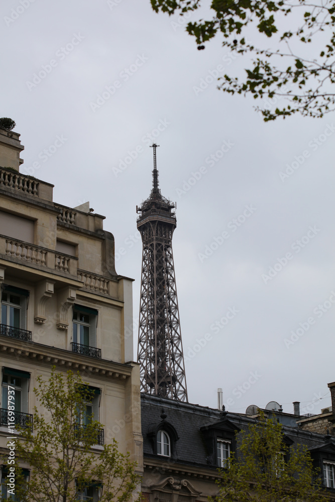 Obraz premium Eiffel tower, Paris. France.