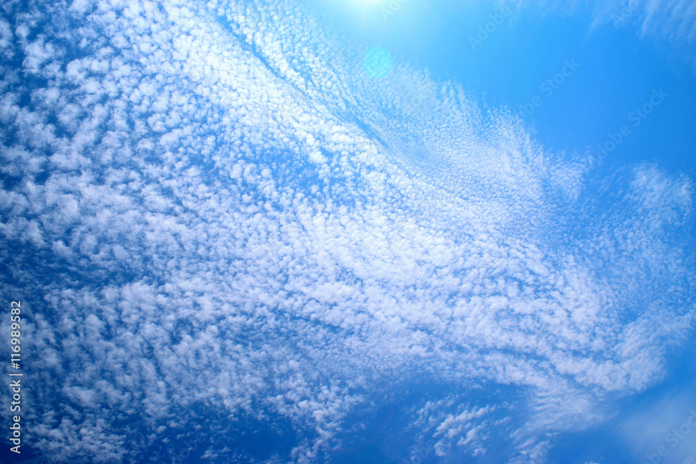Obraz premium うろこ雲の青空
