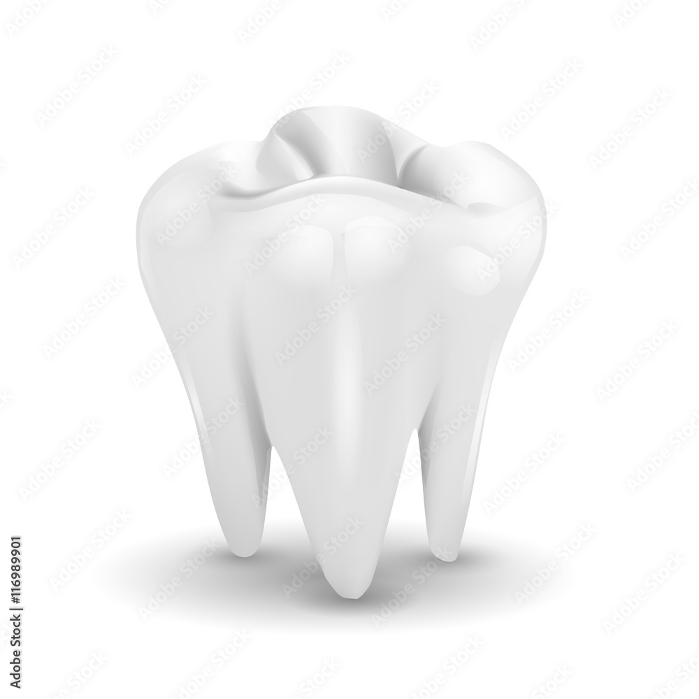 Tooth