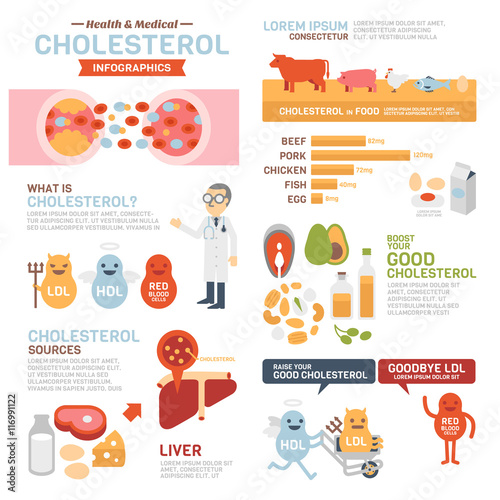 Cholesterol Infographics photo