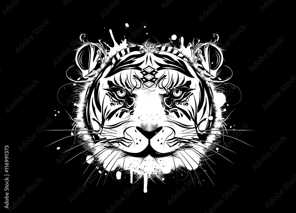 Weißer Tiger Kopf auf schwarzem Hintergrund Weißer Tiger Kopf auf schwarzem Hintergrund