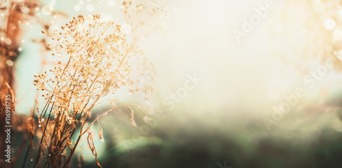 Photos Autumn sunset landscape nature background