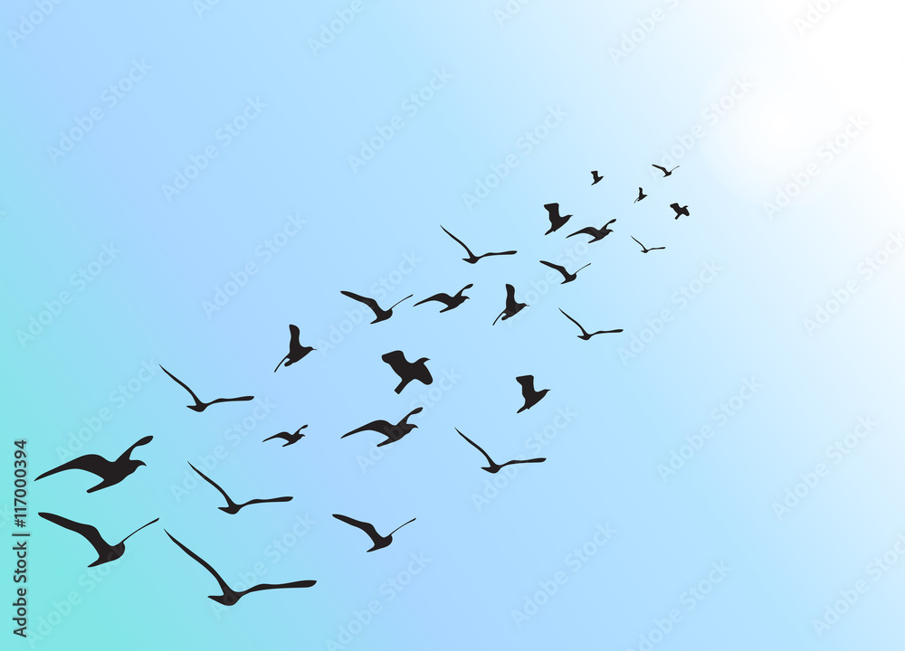 Formation of flying waterbirds