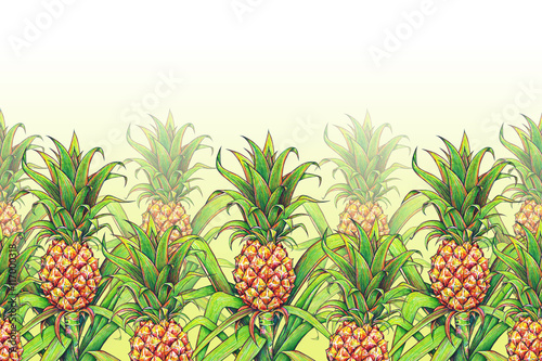 Pineapple with green leaves tropical fruit growing in a farm. Pineapple drawing markers seamless pattern frame border. Colour illustration for design. Handwork