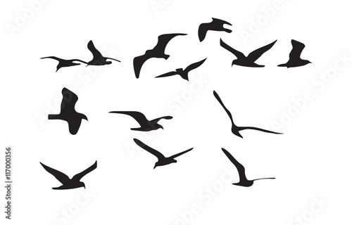 Seagulls black silhouette on white background. Vector © alena1301