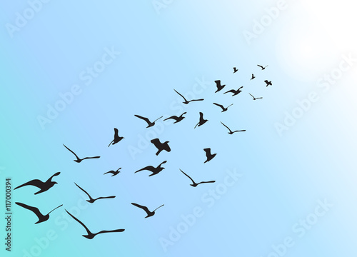 Formation of flying waterbirds