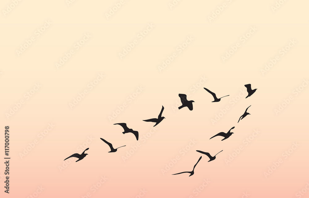 silhouettes of flying birds, vector illustration