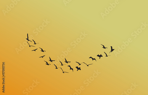 a flock of birds at dawn, the sun