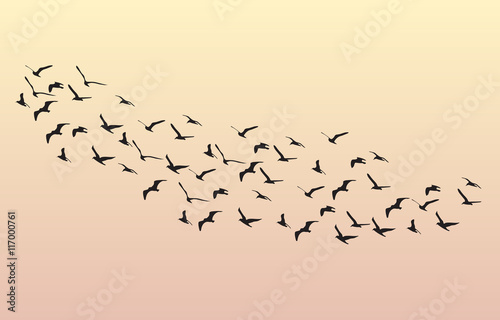 Flock of Geese flying in the dawn on the sky