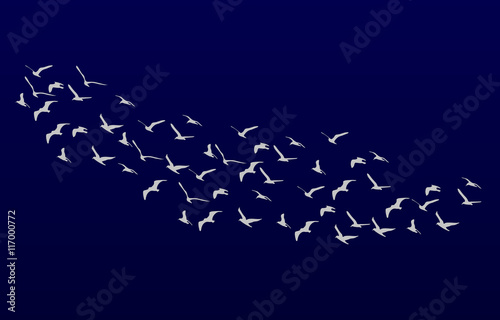 Seagulls Flying as night falls. Vector illustration of Flying Se