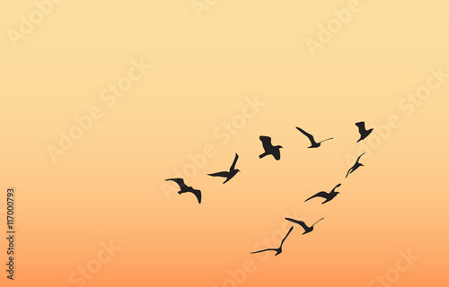 a flock of birds at dawn, the sun © alena1301