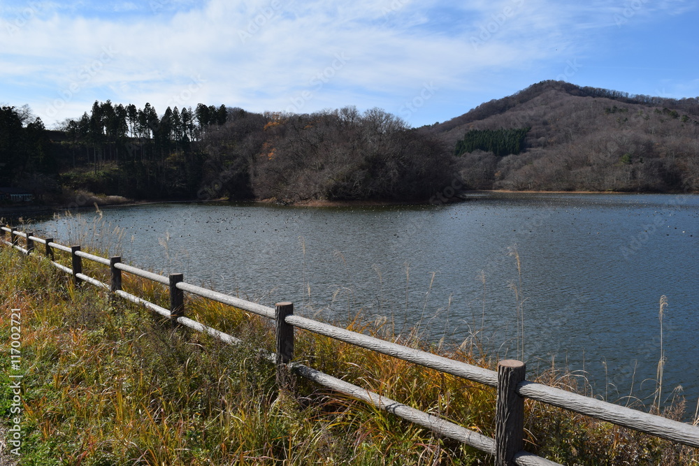 Fototapeta premium ラムサール条約登録地 大山上池・大山下池 ／ 山形県鶴岡市大山にある灌漑用のため池です。国指定の鳥獣保護区と特別保護地区に指定され、さらに国際的に重要な湿地を保全する「ラムサール条約」にも登録されました。また、2010年には農林水産省の「ため池百選」にも選定されています。