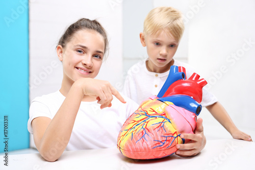 Budowa serca. Dzieci oglądają model ludzkiego serca