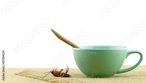 cockroach in wooden spoon with cup of soup