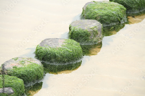 Wellenbrecher mit Algen