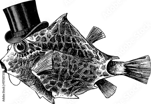 Photography Vintage picture tropic fish tophat
