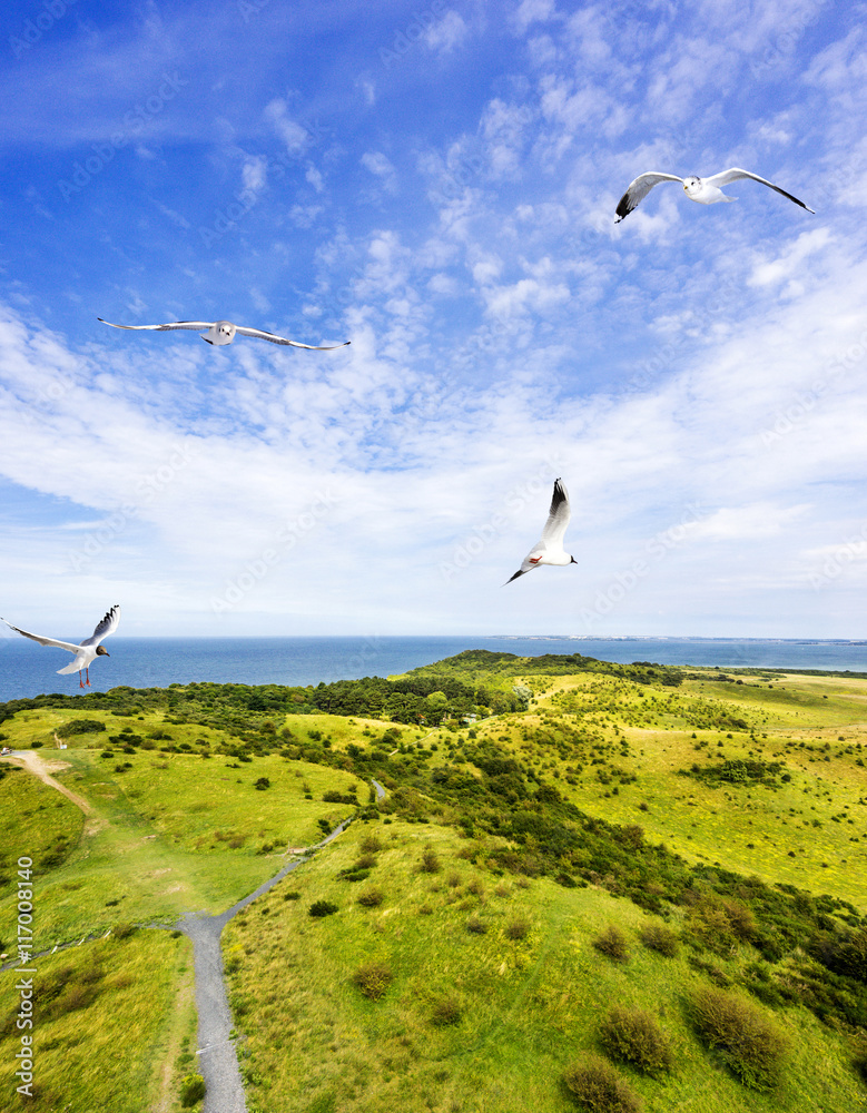 Fototapeta premium Hiddensee