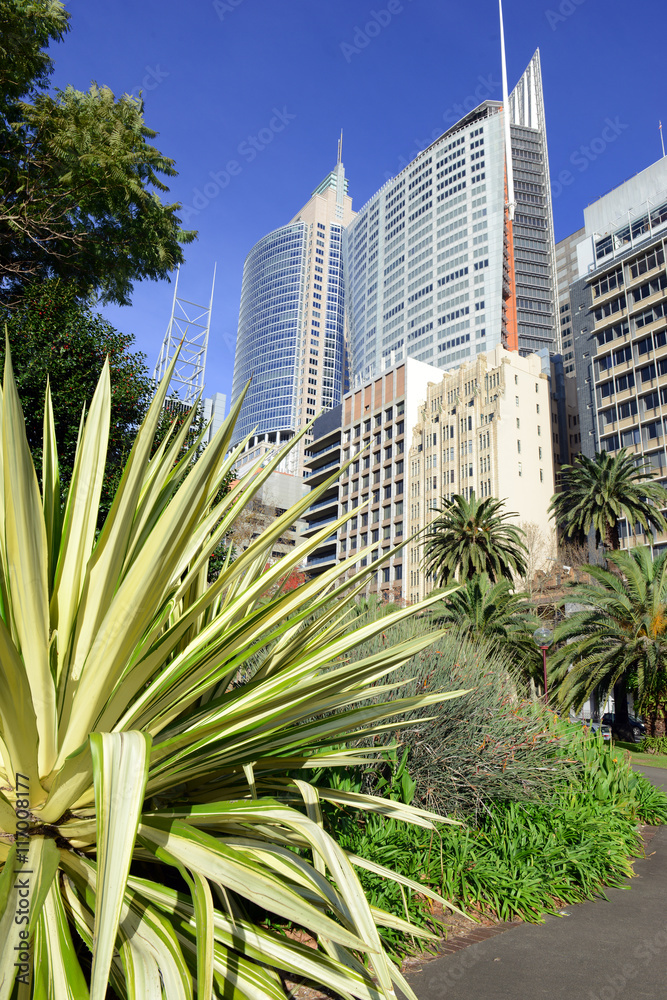Sydney City skyline with gardens in foreground, Australia