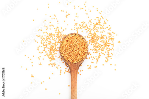 Mustard seeds on a white background