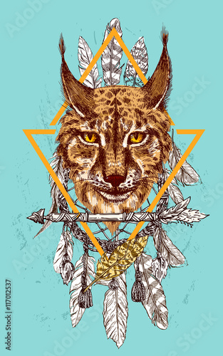 sketching of lynx