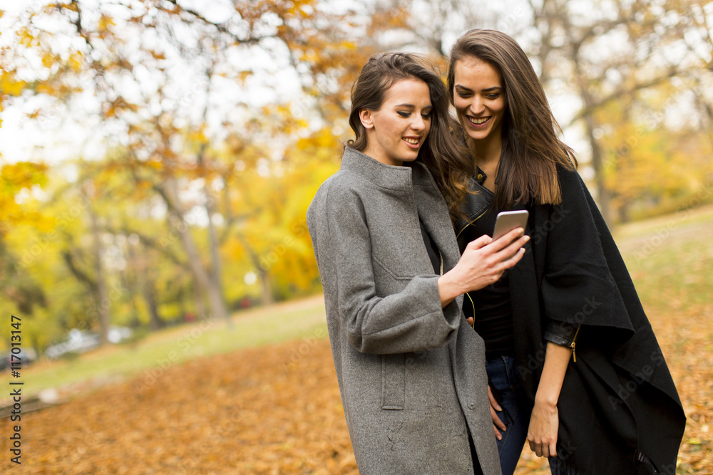 Fototapeta premium Woman with mobile phone