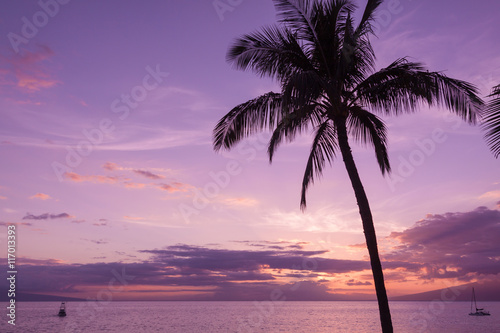 Fototapeta Naklejka Na Ścianę i Meble -  Sunset on Maui