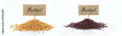 Photo White and black mustard seeds on white backgroubd