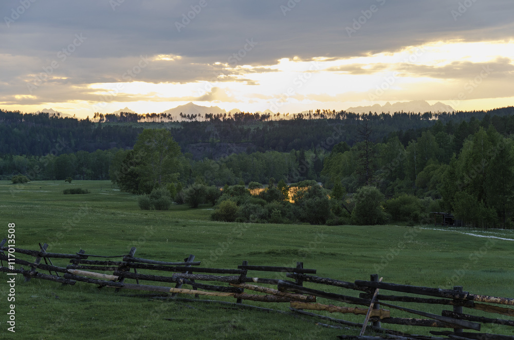 Summer meadow at sunset. Tunkinskaya valley, Buryatia