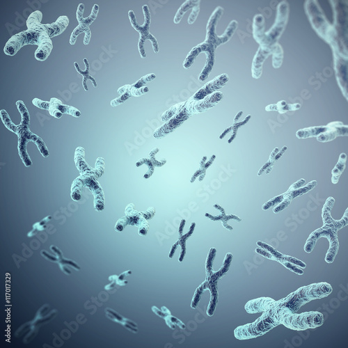 X-chromosomes on grey background, scientific and biology concept. 3d illustration