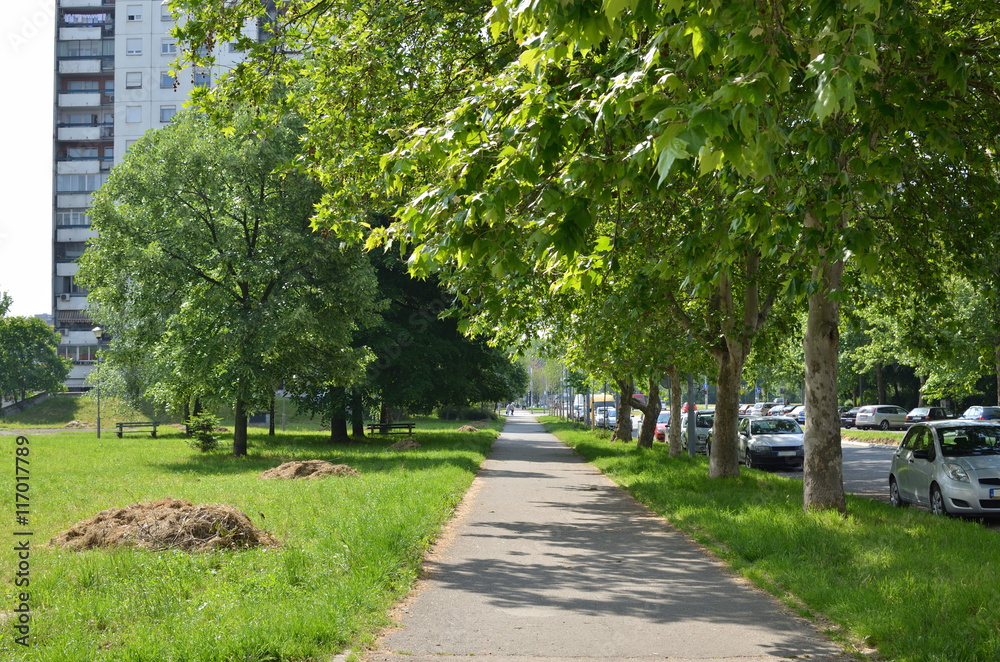 Lane in a residential city part with lush trees and green lawns