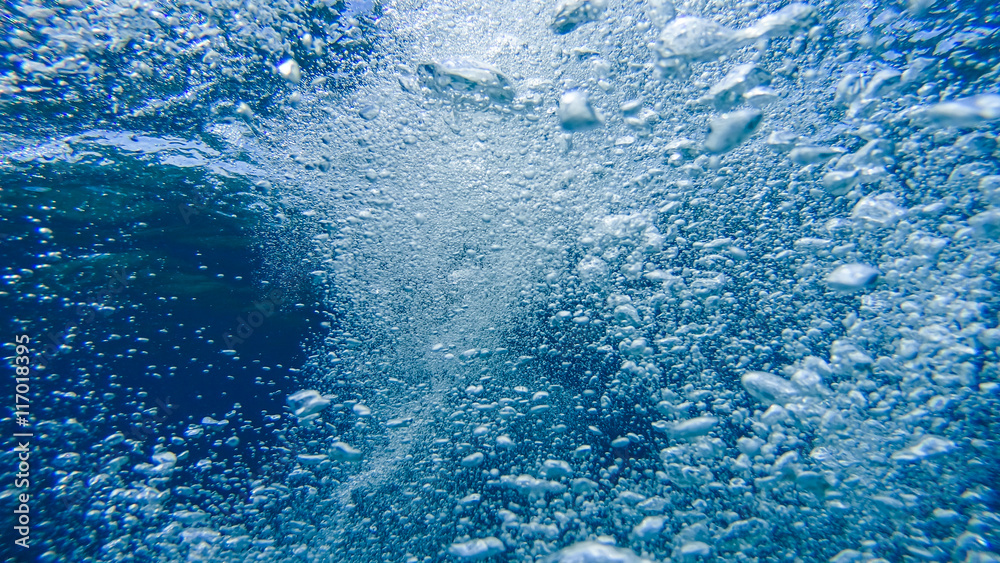 Fototapeta premium Underwater air bubbles