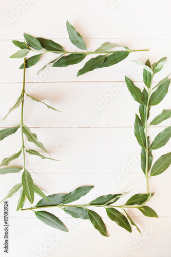 Frame of green branches with leaves on white wooden background w